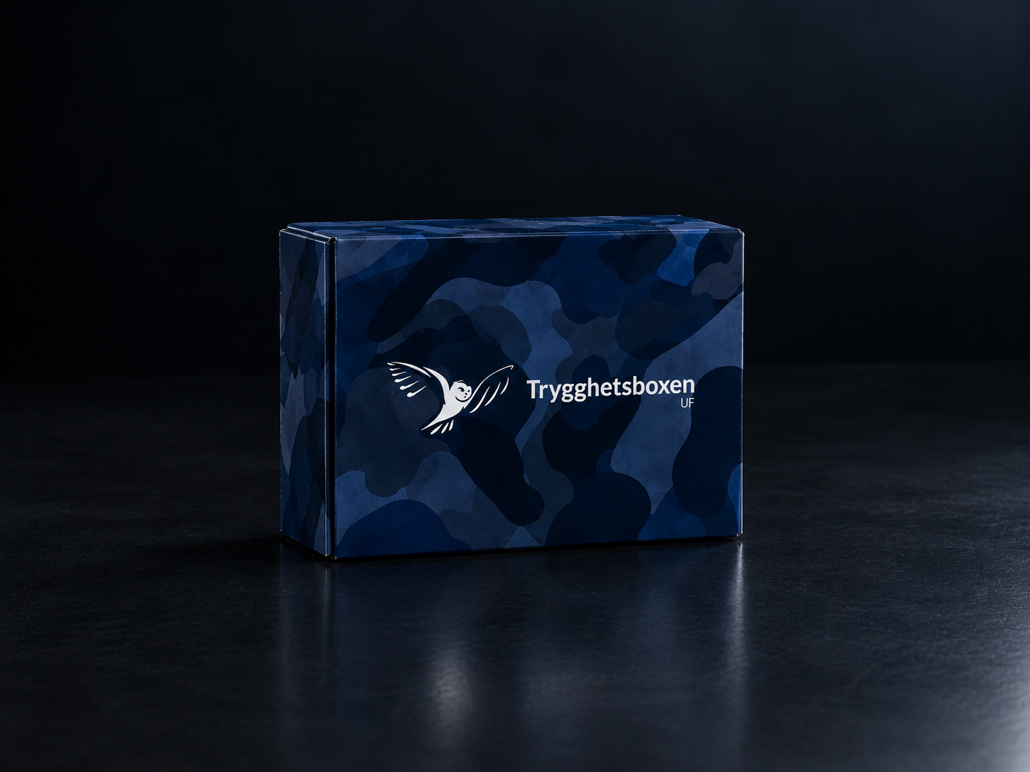 Trygghetsboxen Standard – 72-timmars krislåda för 1 person
